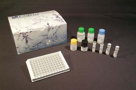 anti c-reactive protein elisa kit|Human C Reactive Protein ELISA Kit (CRP) (ab99995) .